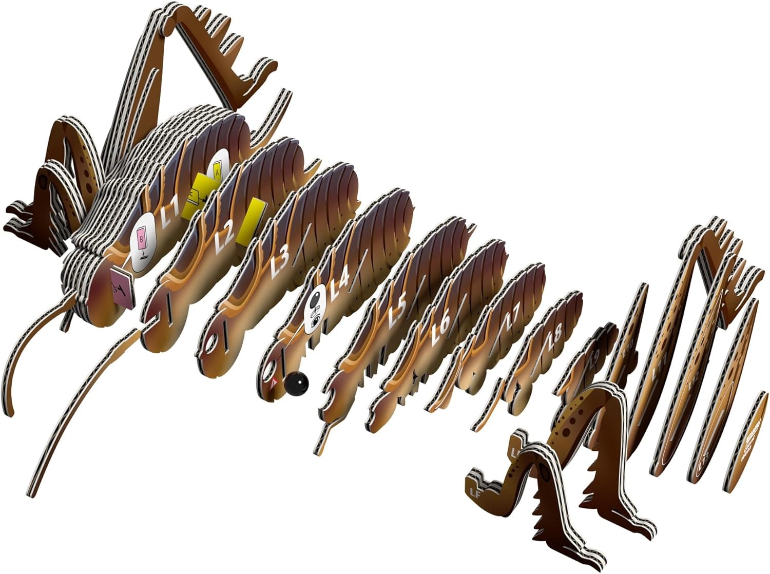 EUGY D5088 Giant Weta Insect 3D Model Craft Kit - Image 4