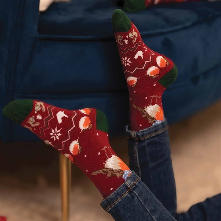 'Season's Tweetings' Red Robin Socks One Size - Image 1