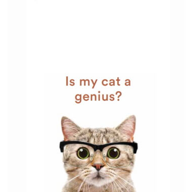Helen Redding Is My Cat a Genius (Hardback) Book - Image 1