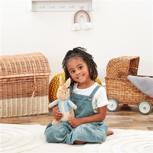 Peter Rabbit Soft Toy 24cm - Image 5