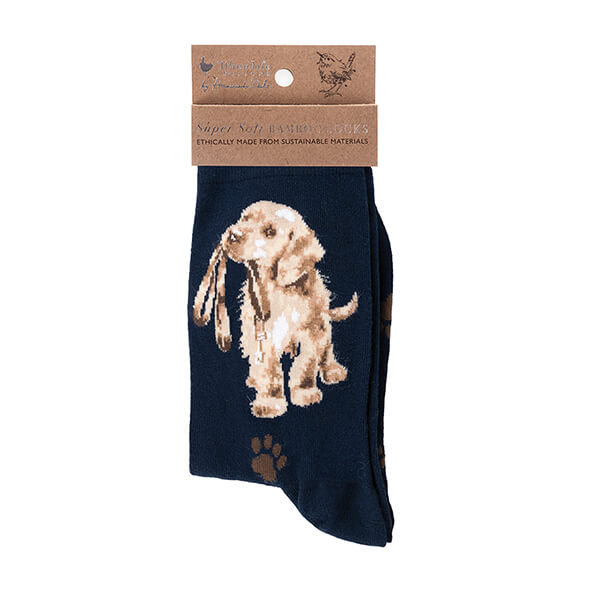 'Hopeful' Labrador Navy Socks One Size - Image 1