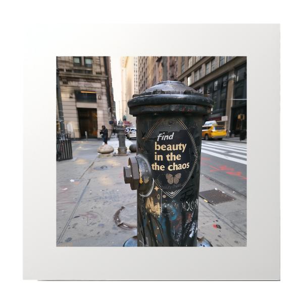 Find Beauty In Chaos Photography Prints