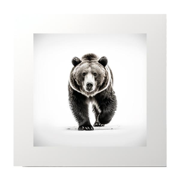 Black and White Bear Photography Print