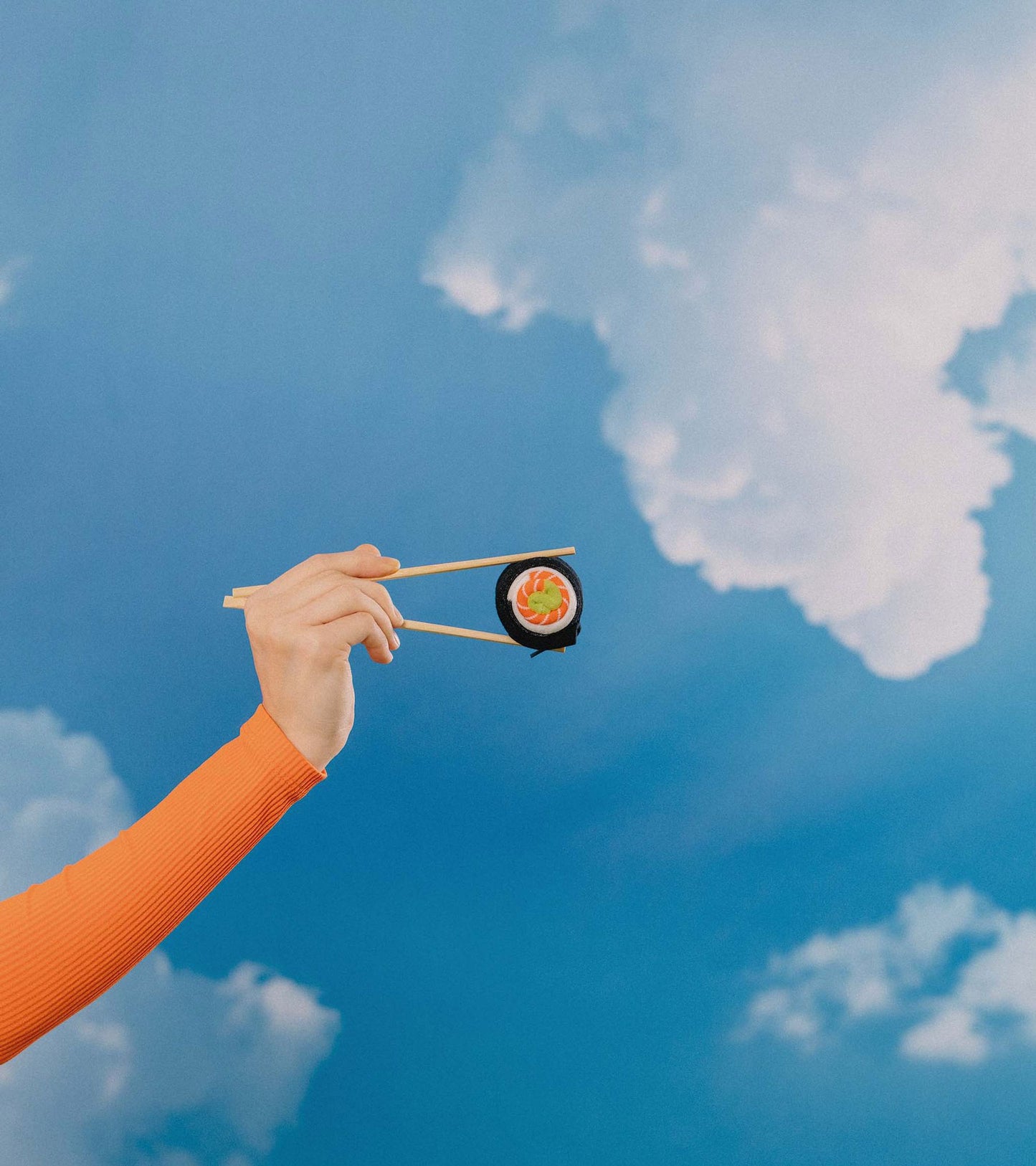 Sushi Sock Salmon Lovers in Black White Orange Green