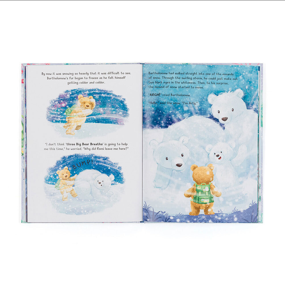 Bartholomew Bear and the Snow Giants Book