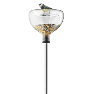 Bird Feeder Glass with Bird Bath