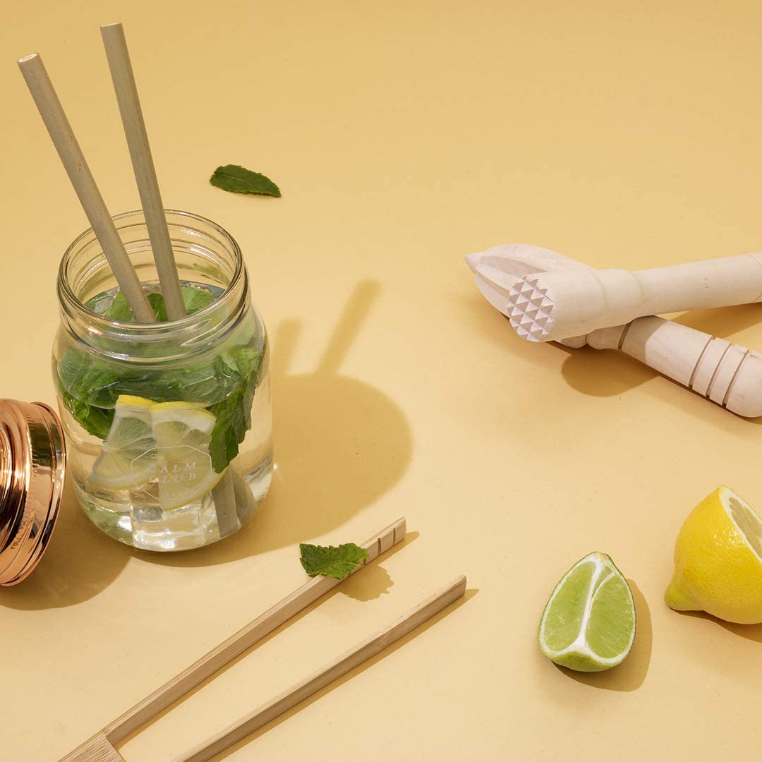 Mocktail and Cocktail Making Kit