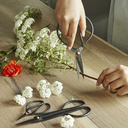 Scissor Gardening Shears Set For Garden