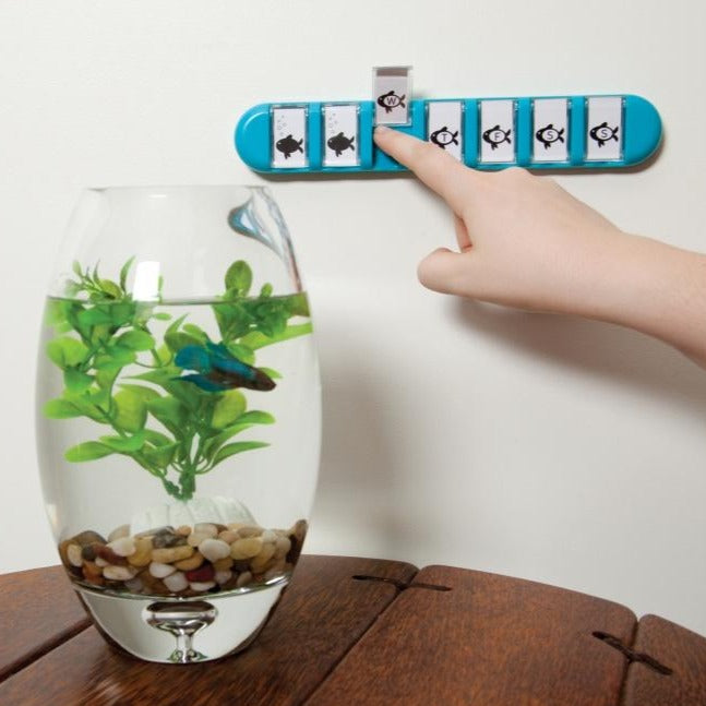 Daily Reminder Memos for Pills, Pet Feeding & Plant Watering & More Membo