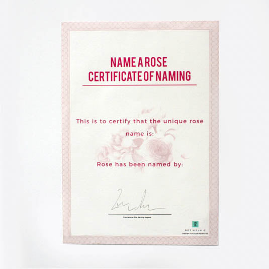 Name A Rose Gift Tin Gift Republic