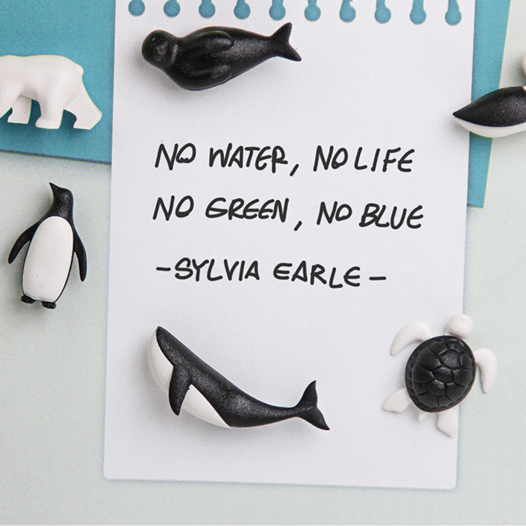 Magnets 'Save the Ocean' Stationary Set of 6 Black White