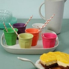 Colourful Cups Plant Fibres Rainbow Set of 6
