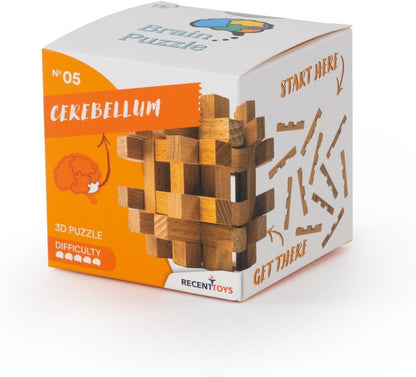 Brain Puzzle 5/5 G3 Game - Image 4