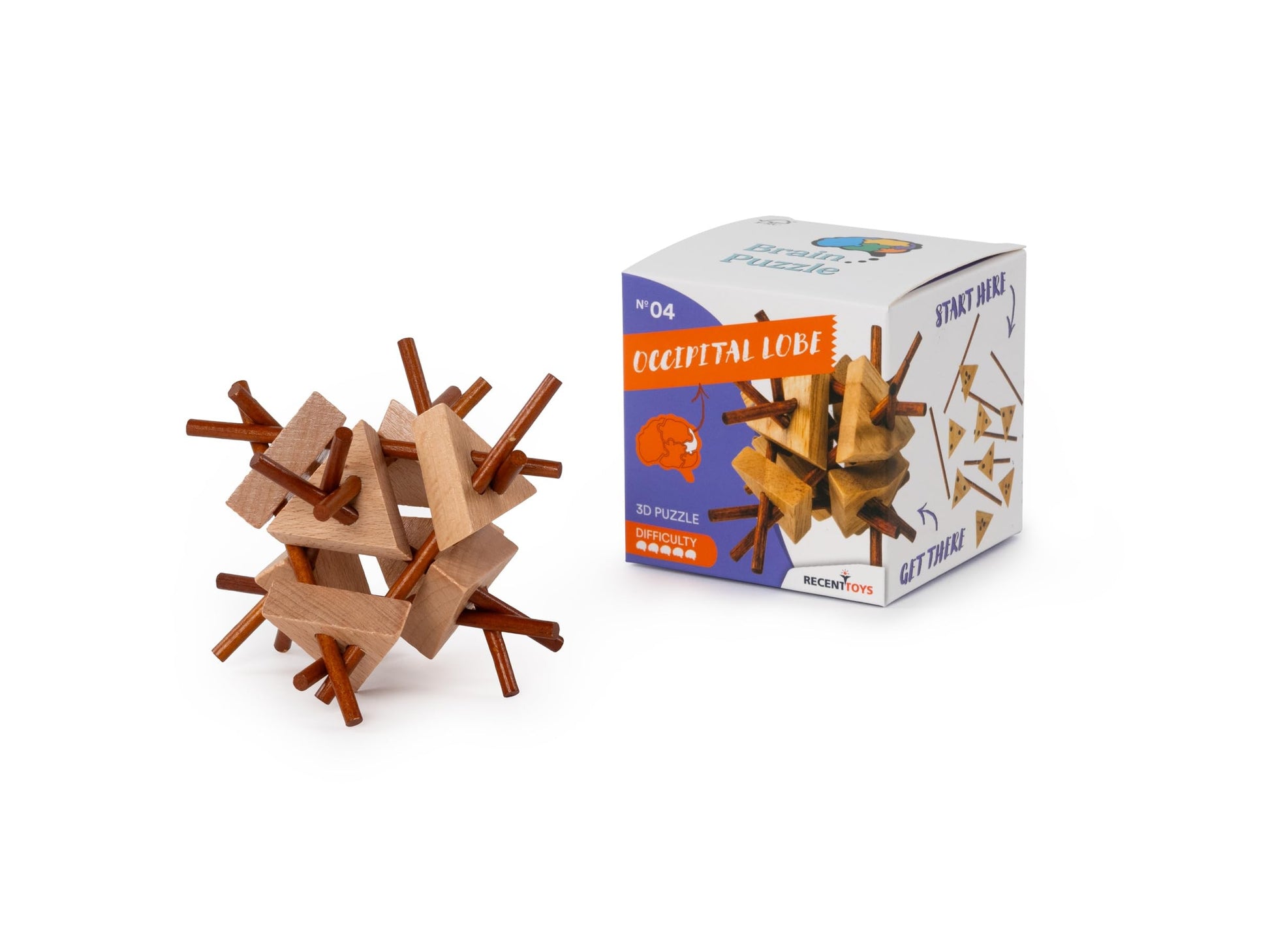 Recent Toys Brain Puzzle Occipital Lobe, RT5142 - Image 1