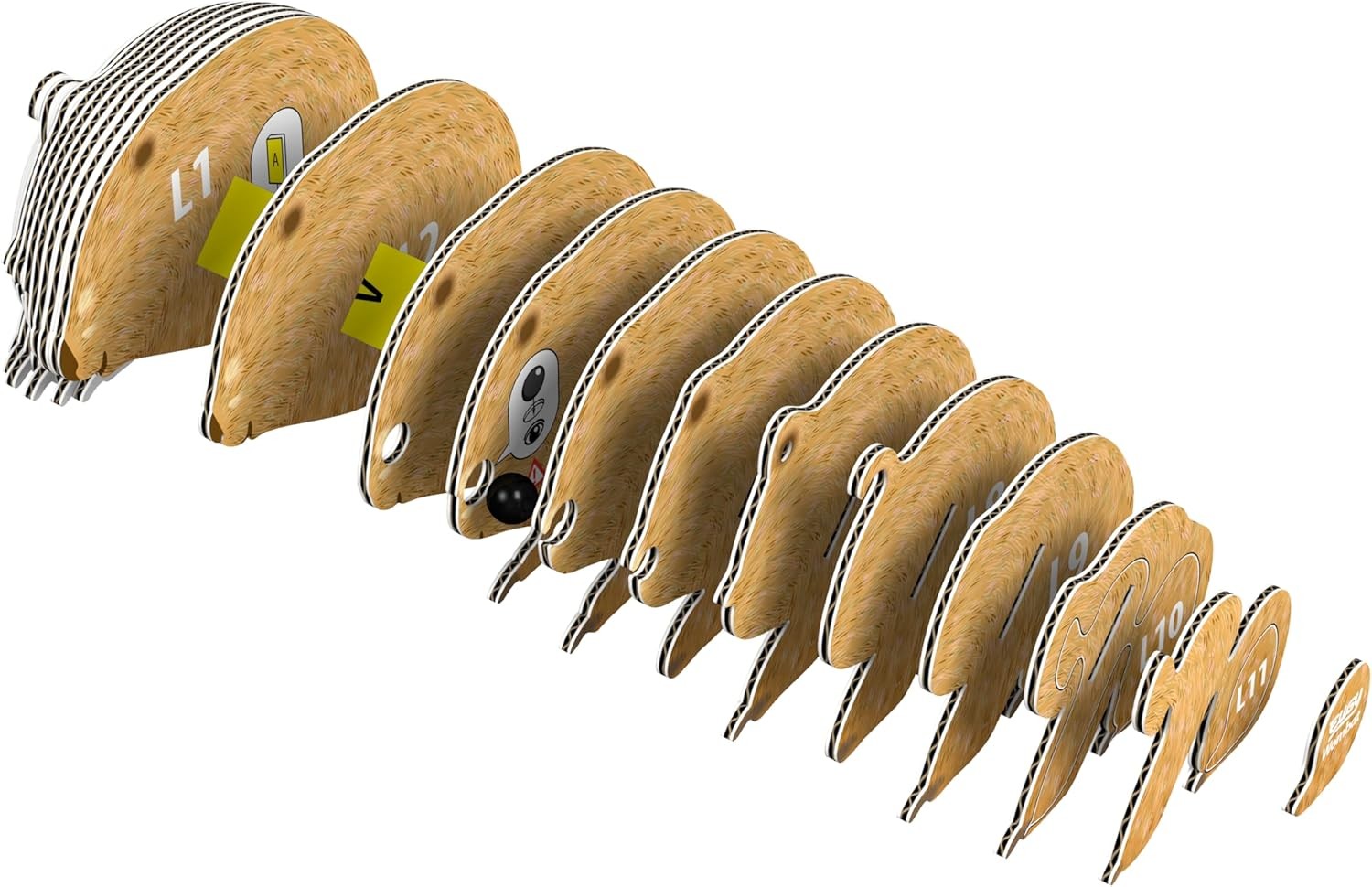 Eugy Wombat 3D Model Craft Kit - Image 4