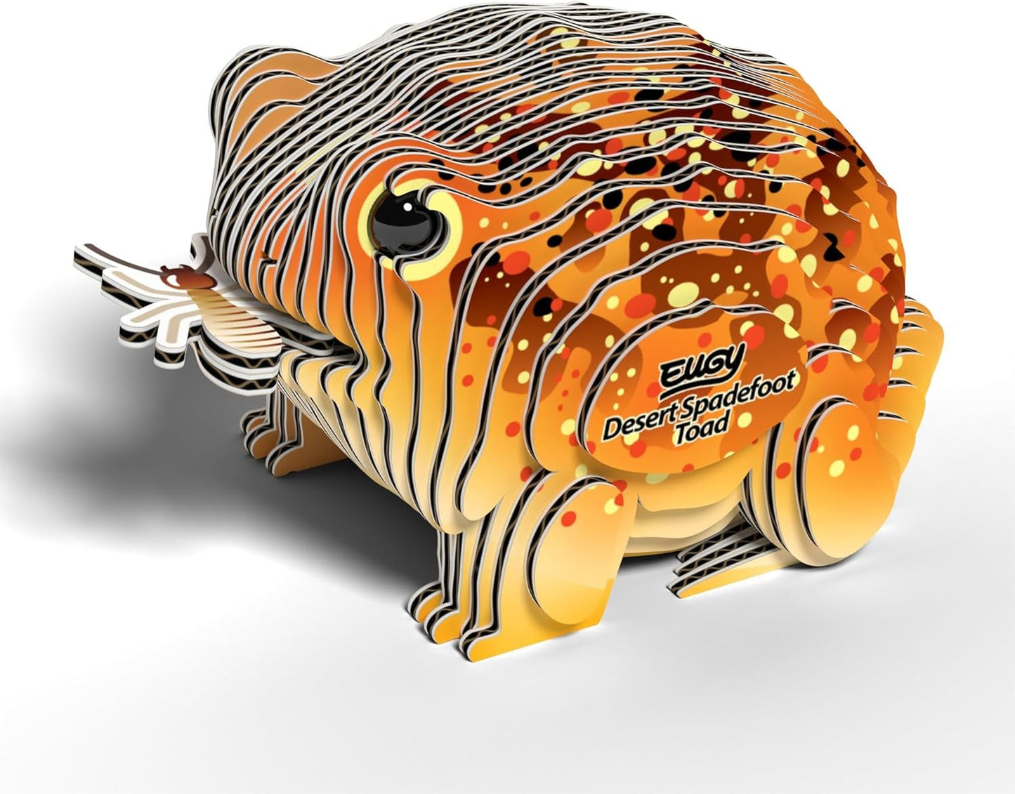 Eugy Desert Spadefoot Toad 3D Model Craft Kit - Image 3