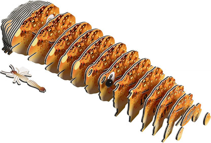 Eugy Desert Spadefoot Toad 3D Model Craft Kit - Image 4