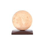 Gingko Mini Spin Lamp - Brown - Image 1