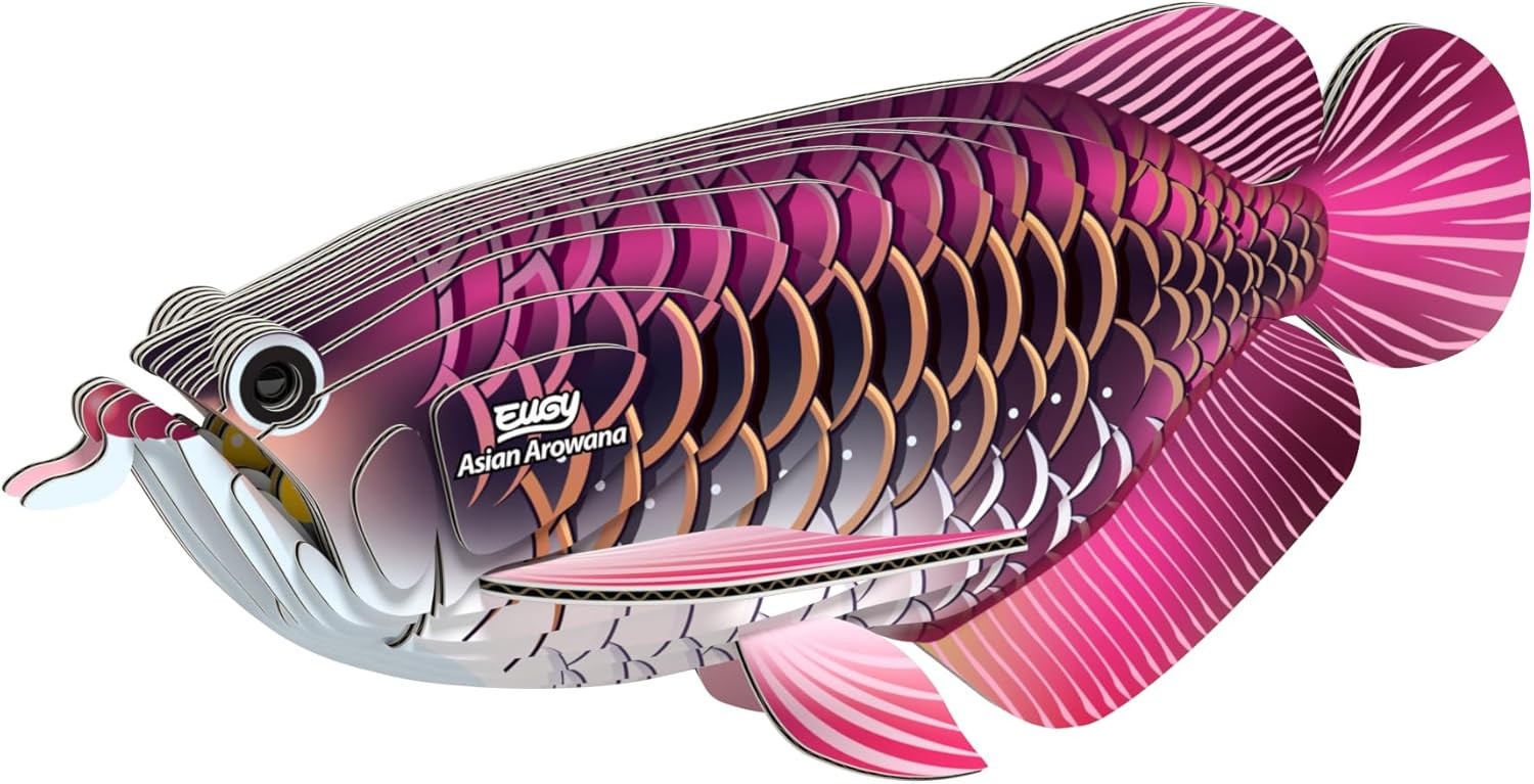 Eugy Asian Arowana Fish 118 3D Cardboard Model Construction Kit - Image 4