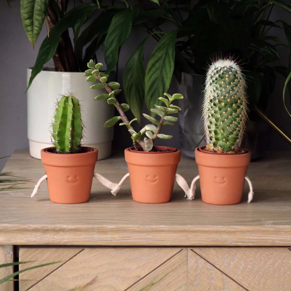 Hand-Holding Succulent Pots Plant Pots - Image 4