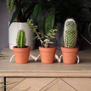 Hand-Holding Succulent Pots Plant Pots - Image 4