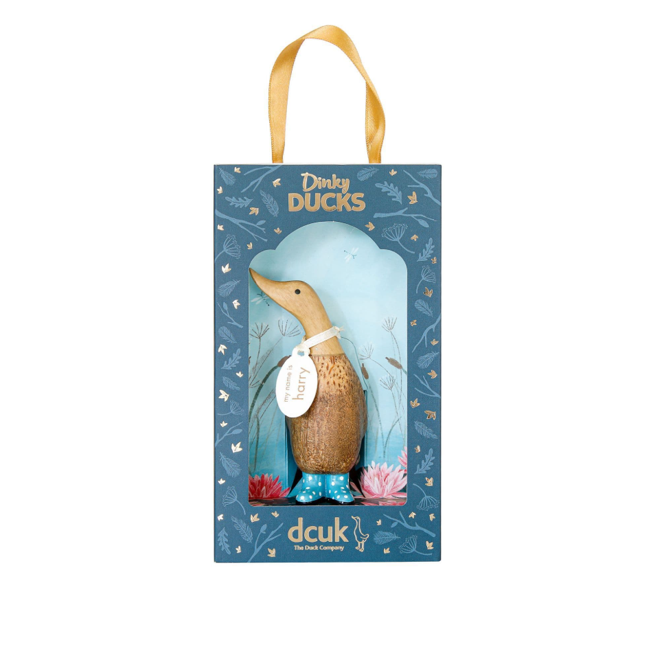 DCUK Dinky Duck Boxed Spotty Wellies Various Colours - Image 4