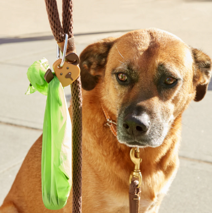 Kikkerland Dog Poop Clip and Light - Image 4