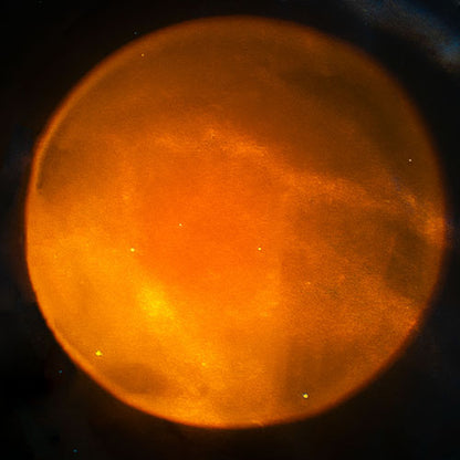 Fizz Creations - Lamp | Astronaut Sunset Lamp