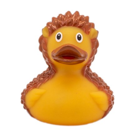 Hedgehog Rubber Duck - Image 1
