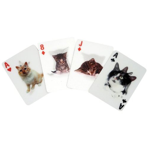 Kikkerland 3-D Cat Playing Cards - Image 1