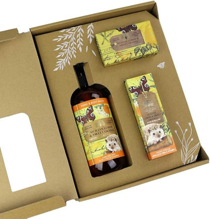 Sicilian Lemon and Sweet Orange Hand and Body Gift Box - Image 2