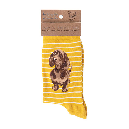 'Little One' Dachshund Socks One Size - Image 1