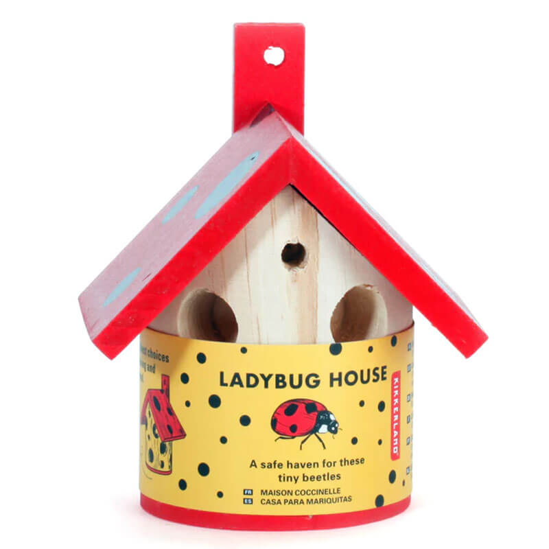 Ladybug House - Image 1