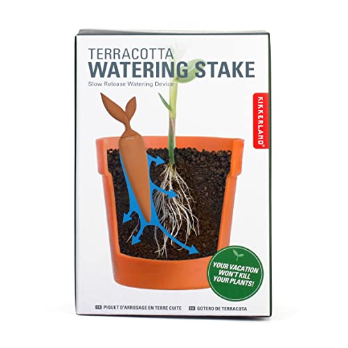 Terracotta Watering Stake - Image 4
