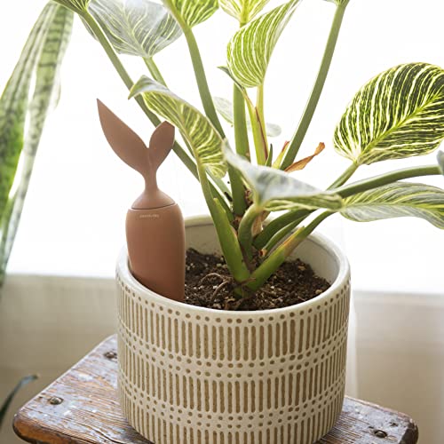 Terracotta Watering Stake - Image 1