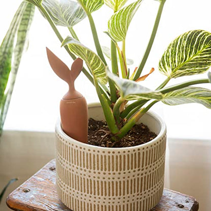 Terracotta Watering Stake - Image 1