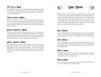 Mystical Women's Tarot: A Deck of Fearless Femmes - image 3