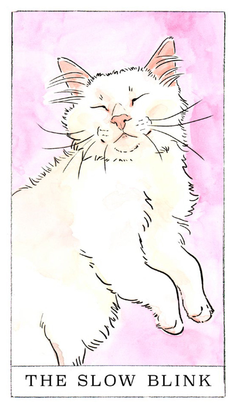 Kitten Oracle: 50 Cards and Guidebook - image 2