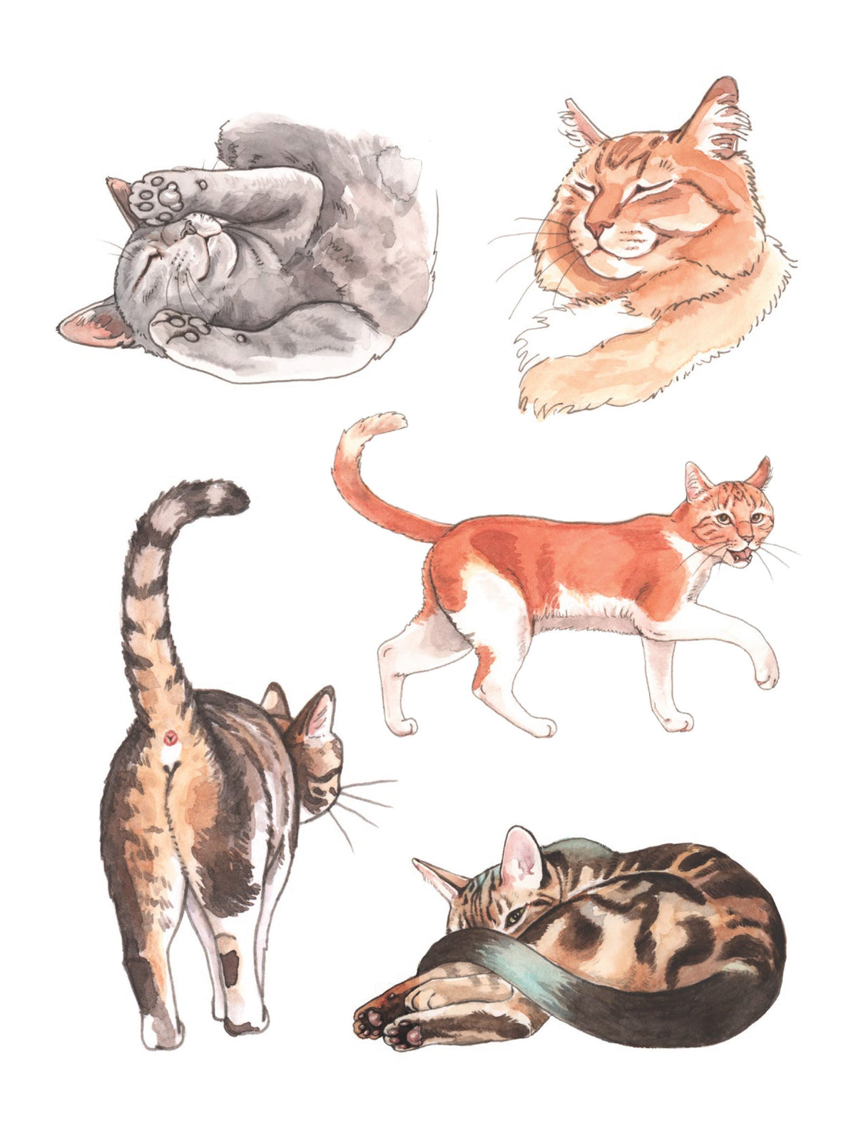 The Cat's Meow Sticker Book: 100+ Stickers of Fluffy, Feisty and Fabulous Felines - image 4