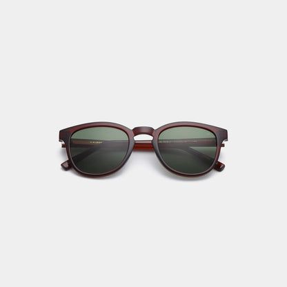 Sunglasses in Bate Brown Transparent