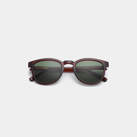 Sunglasses in Bate Brown Transparent