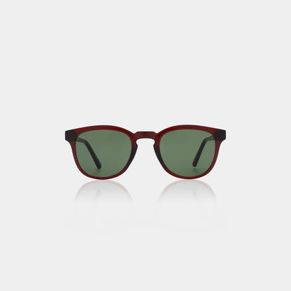 Sunglasses in Bate Brown Transparent