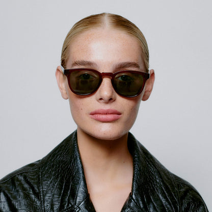 Sunglasses in Bate Brown Transparent