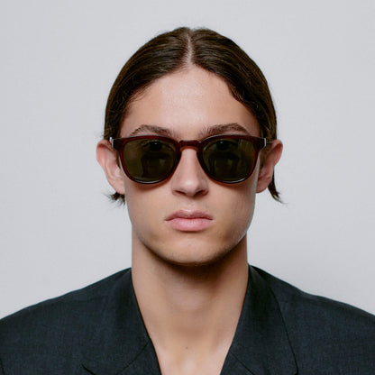 Sunglasses in Bate Brown Transparent