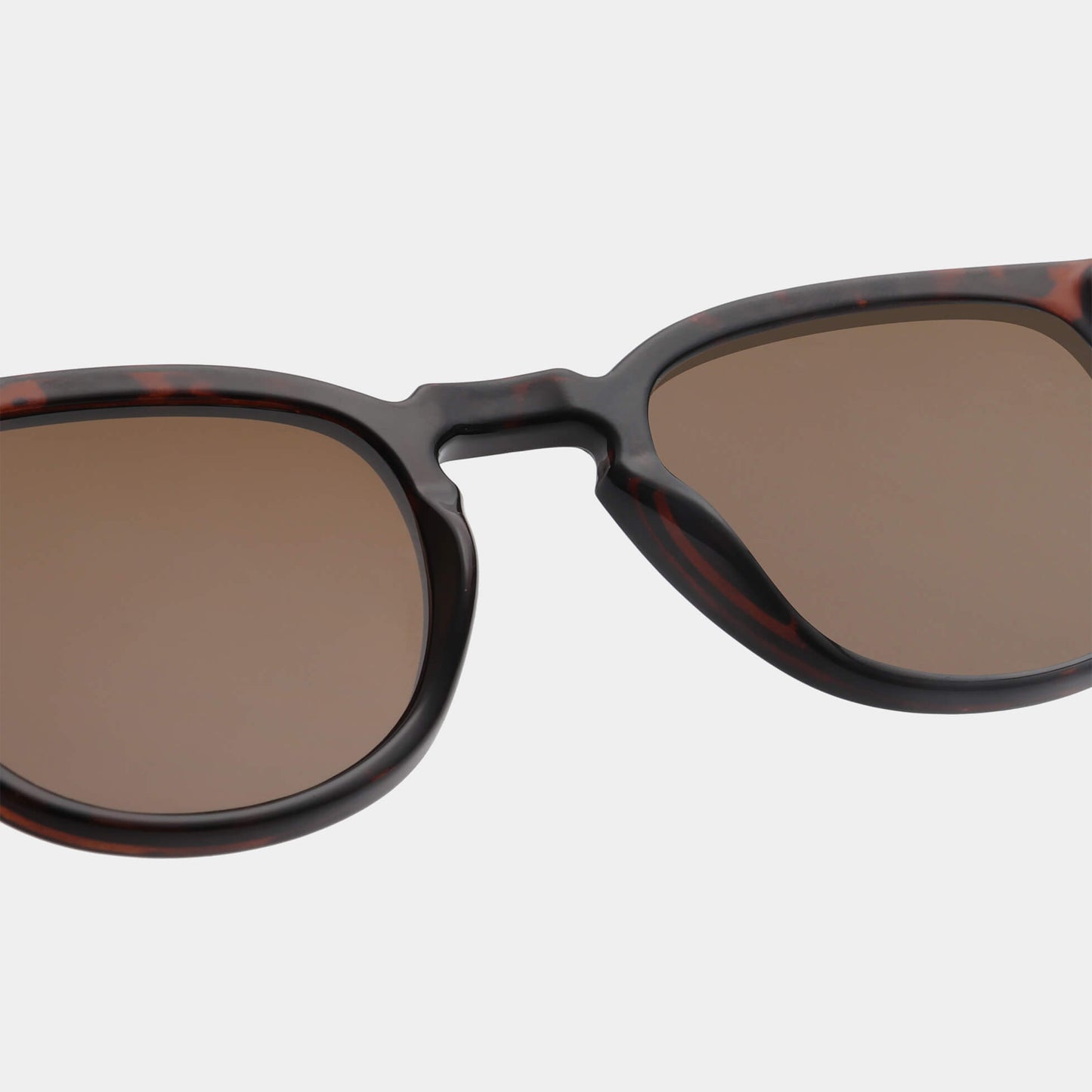 Sunglasses in Bate Demi Tortoise Brown