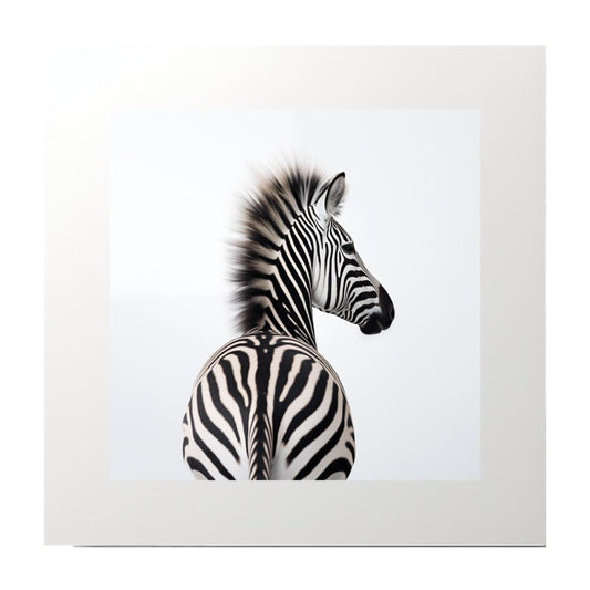 Photography Zebra Back Monochrome Art Print
