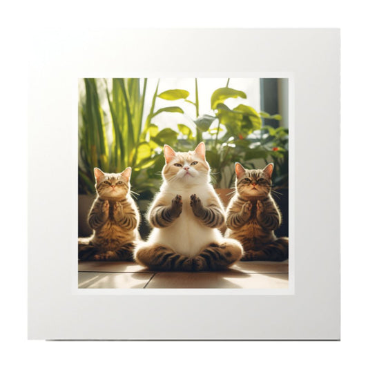 Cat Yoga Photography Collage Art Print