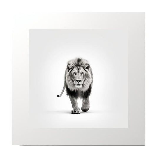Black and White Lion Photography Print