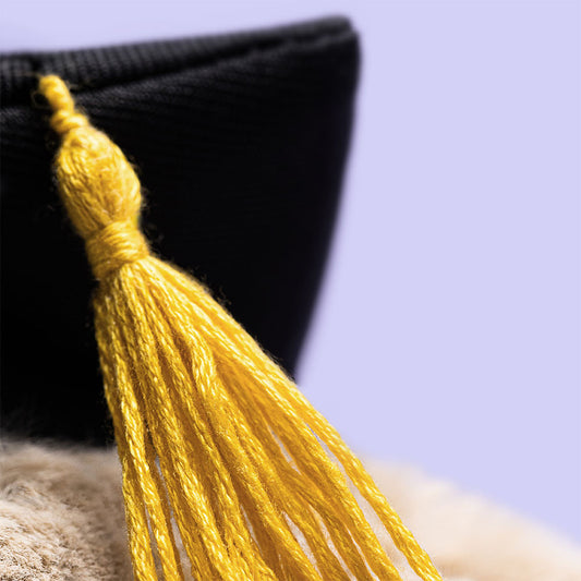 Jellycat Bashful Bunny Graduation