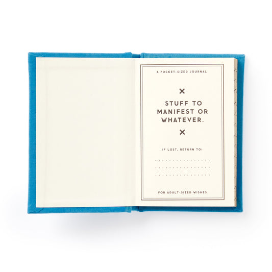 Tiny Hopes and Dreams Tiny Diary - image 2